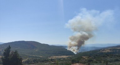 Manisa'nın Soma ilçesinde orman yangını çıktı
