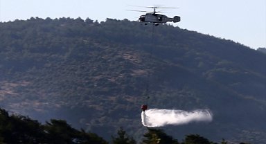 Manisa'nın Soma ilçesinde çıkan orman yangını kısmen kontrol altında