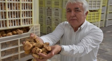 Tariş İncir Birliği, kuru incir alım fiyatını 120 lira olarak güncelledi