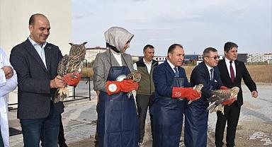Afyonkarahisar'da tedavi edilen kerkenez, kulaklı orman baykuşu ve kızıl şahin doğaya bırakıldı