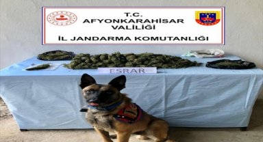 Afyonkarahisar'da uyuşturucu operasyonunda bir kişi yakalandı
