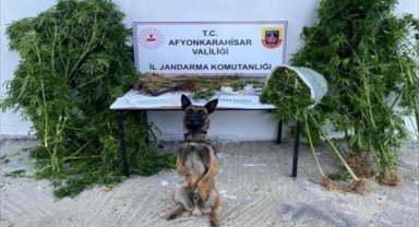 Afyonkarahisar'dan kısa kısa