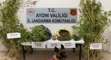 Aydın'daki uyuşturucu operasyonunda 1 kişi gözaltına alındı