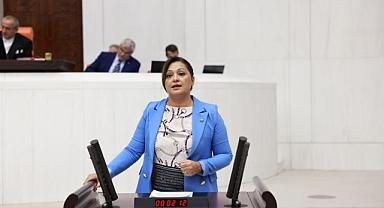 Köksal, Meclis’te Fethibey’li çiftçilerin sesi oldu