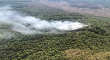 Muğla'da çıkan orman yangını söndürüldü