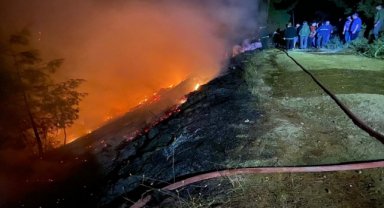 Muğla'da orman yangını başladı