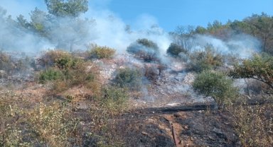 Muğla'da tarım alanında çıkan yangına müdahale ediliyor
