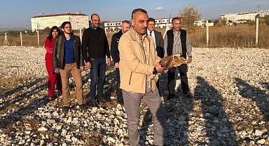 Tedavisi tamamlanan şahin ve kartal doğaya salındı
