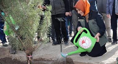 Milli Ağaçlandırma Günü Kutlandı.