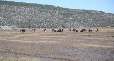 Muğla'da bir kişi, çift sürdüğü tarlada ölü bulundu