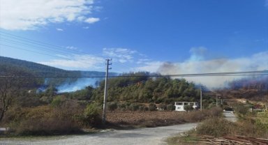 Muğla'da orman yangını başladı