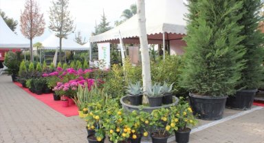Ödemiş'te 18. Süs Bitkileri ve Fidancılık Sergisi açıldı