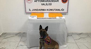 Afyonkarahisar'da uyuşturucu operasyonunda 2 kişi gözaltına alındı