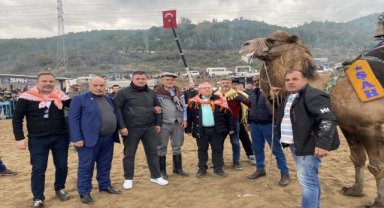 Alaşehir'de deve güreşi şenliği yapıldı