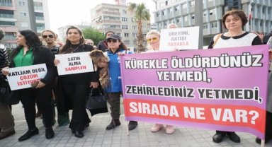 Nazilli'de hayvanseverlerden sahipsiz hayvanlarla ilgili açıklama