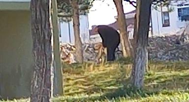 Dinar'da Köpeğe Tecavüz Eden Vatandaş Kameralara Yansıdı..!