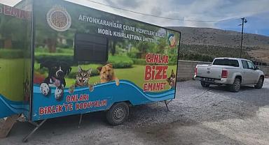 Emirdağ Belediyesi, Sokak Hayvanlarına Kısırlaştırma ve Sağlık İşlemleri Yapıyor