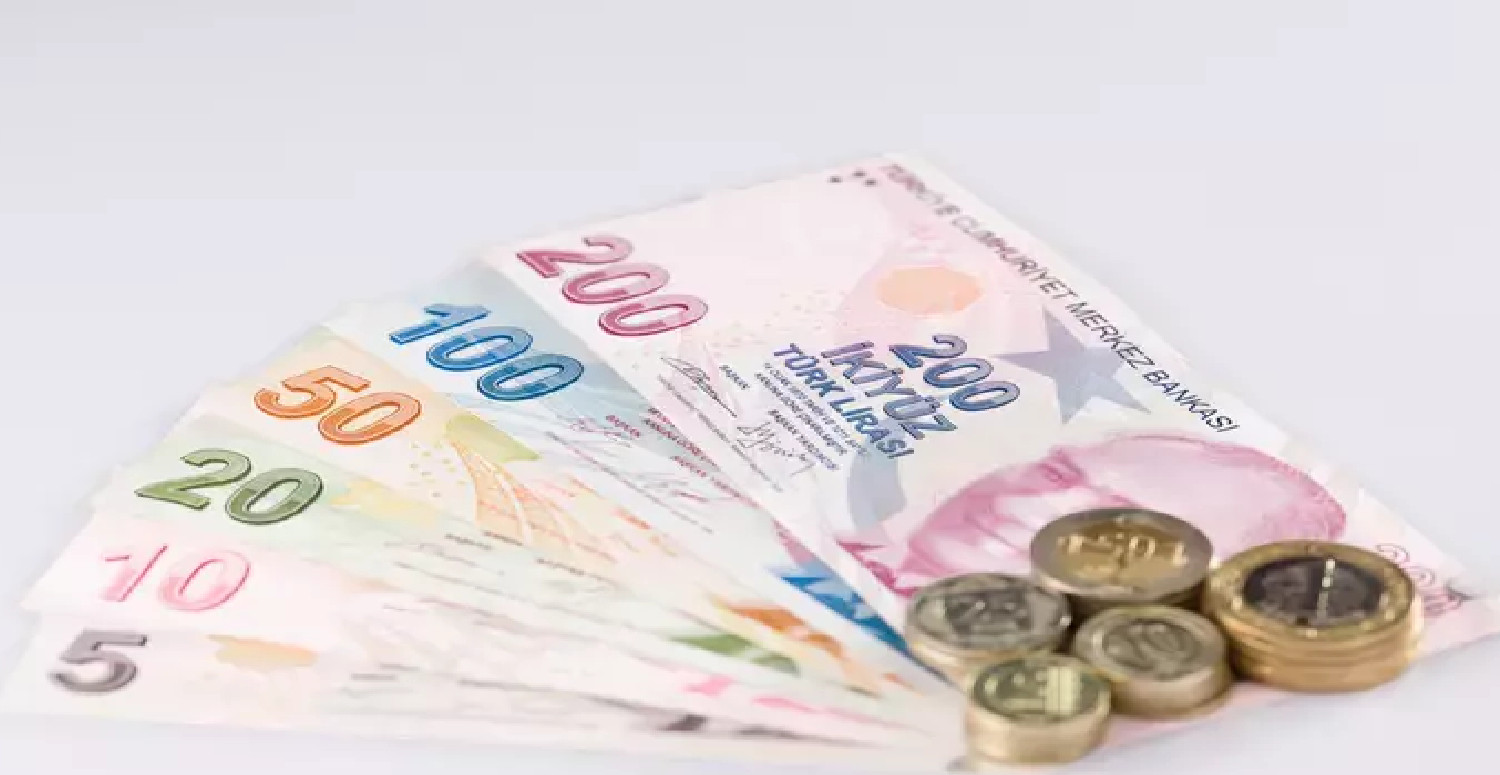 hibe desteği