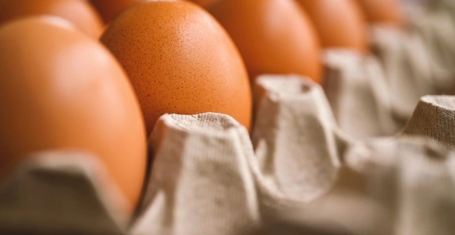 Tarım Kredi Market yumurta fiyatlarını düşürdü! 30'lu kolisinde stok yaptıran fiyat!