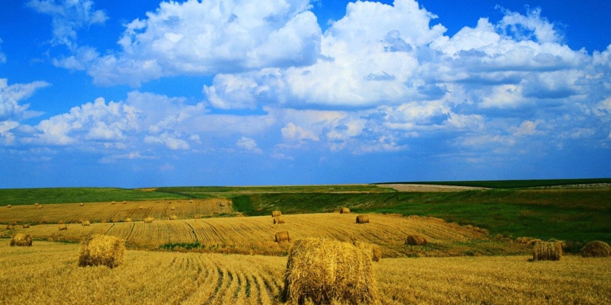 tarla mirası