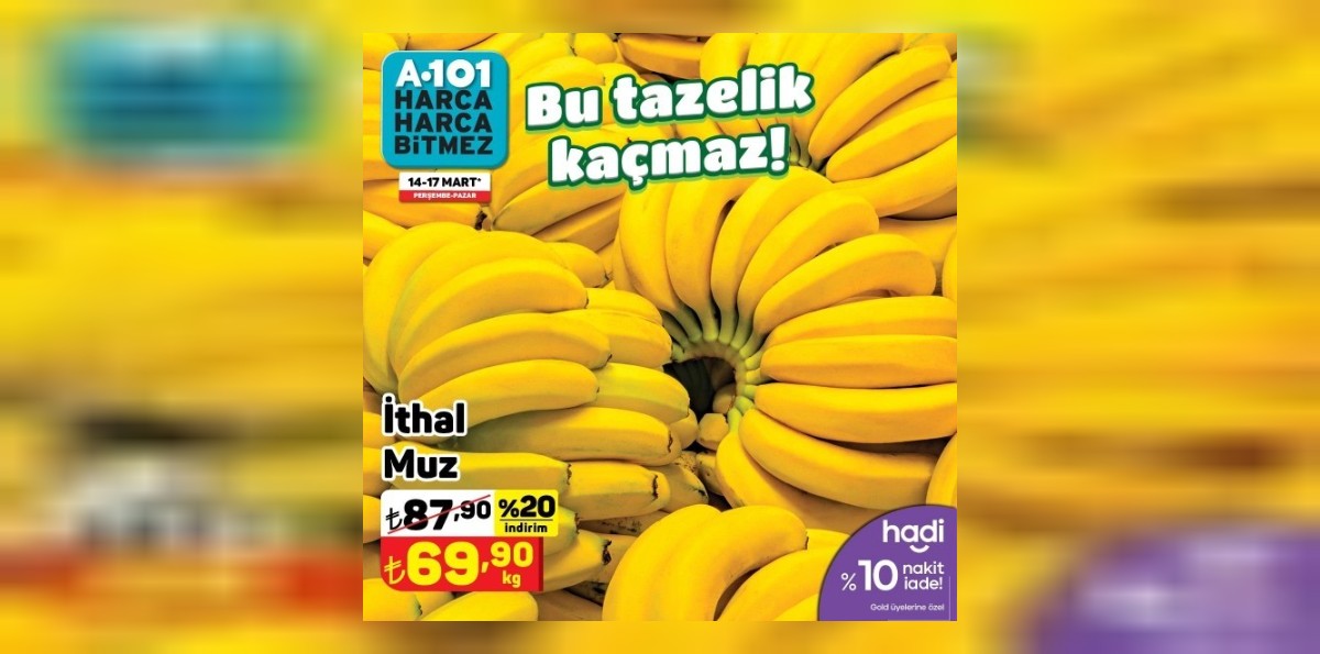 a101