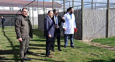 AKÜ Rehabilitasyon Merkezi'ndeki Yaralı Kuşlar Özgürlüğüne Kavuştu