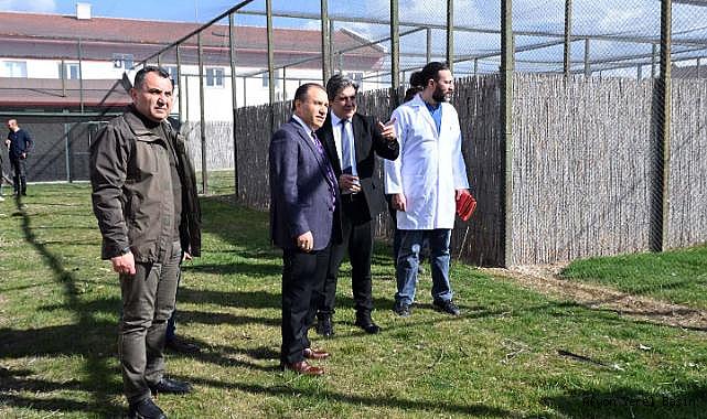 AKÜ Rehabilitasyon Merkezi'ndeki Yaralı Kuşlar Özgürlüğüne Kavuştu