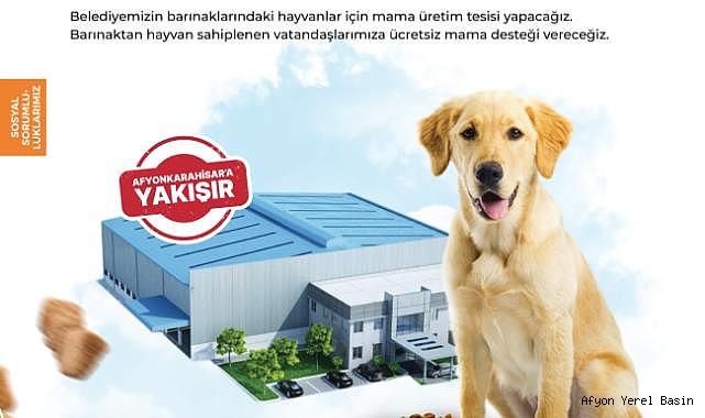 Uluçay sokaktaki canlar için mama üretim tesisi ve barınma merkezi yapacak
