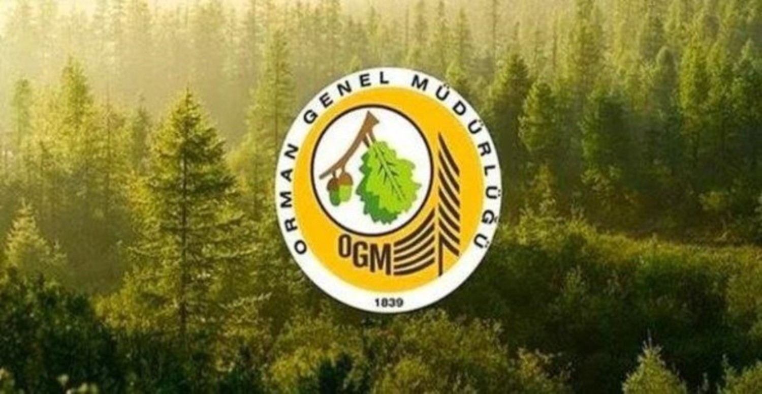 Binlerce genç vatandaşa iş imkanı! OGM 5 şehirde sözleşmeli memur alımı başlattı: Son gün 9 Mayıs