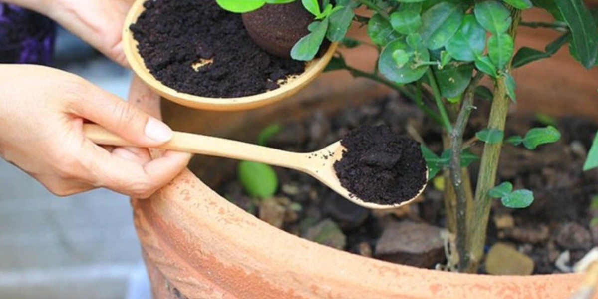 çay posasının faydaları