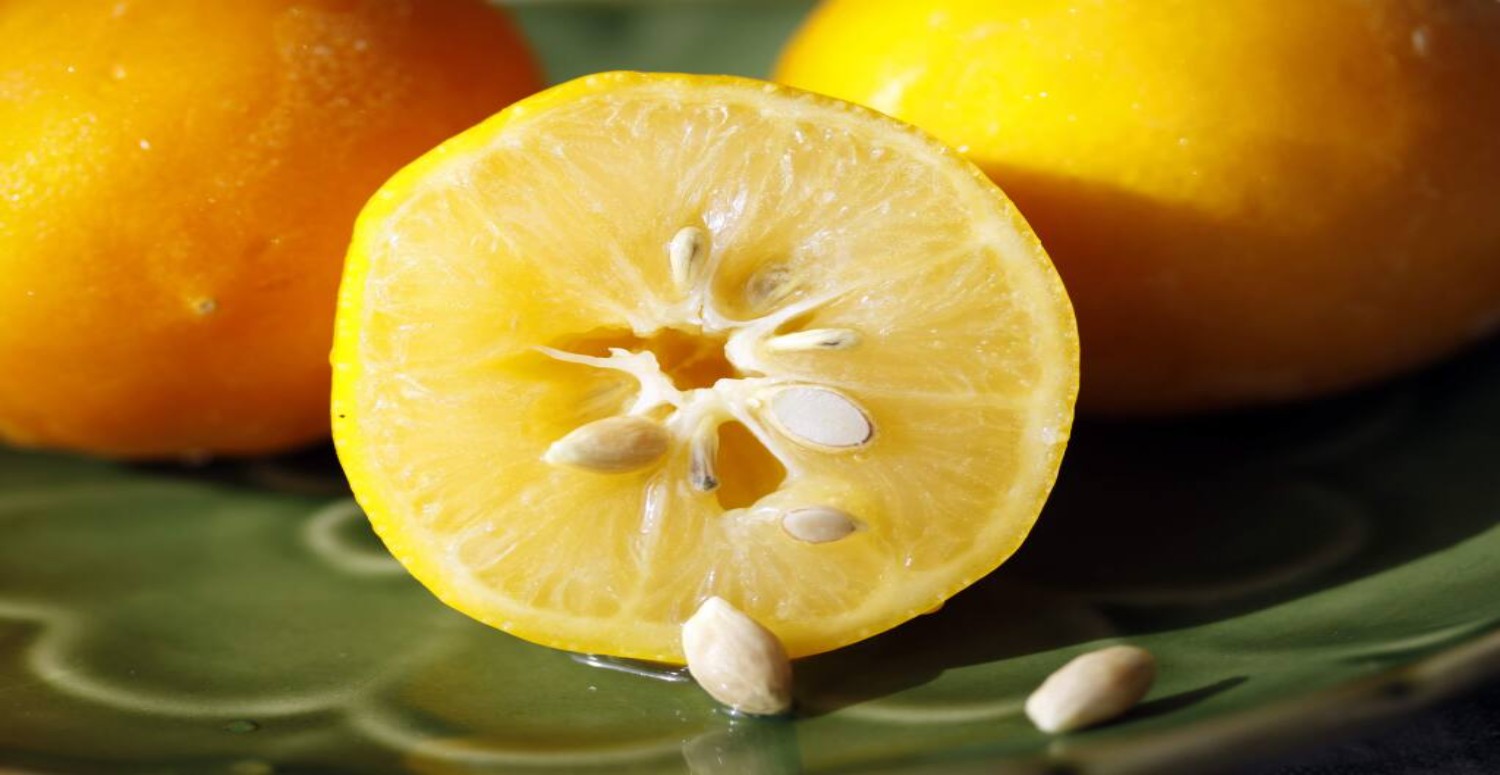 Limon çekirdeklerini kaynatıp içmek meğer o sorunun tek çözümüymüş!