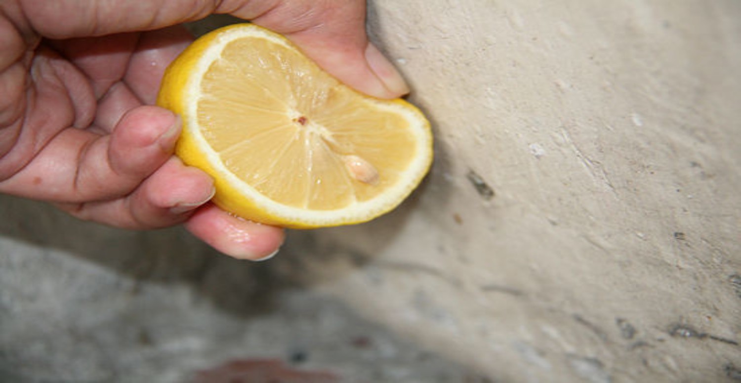 limonla karınca yok etme