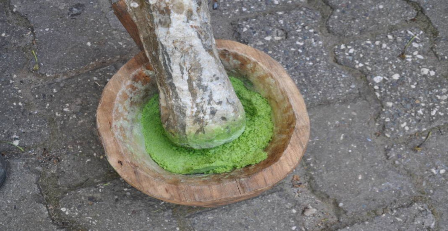 ZUZUBAK OTU