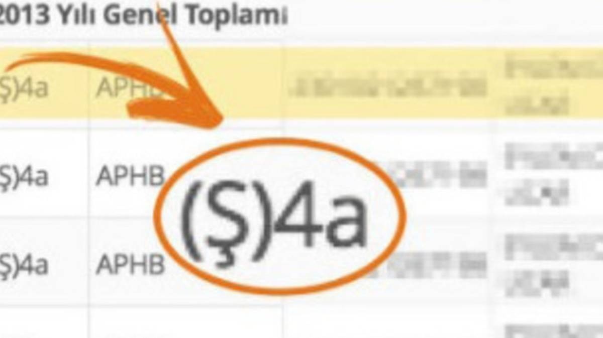 e-Devlet hizmet dökümünde bu harfler varsa eyvah
