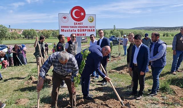 ŞEHİT GÜRPINAR İÇİN HATIRA ORMANI