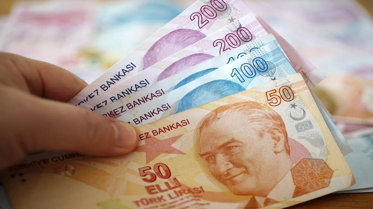 TC kimlik numarasına göre 100.000 TL nakit destek