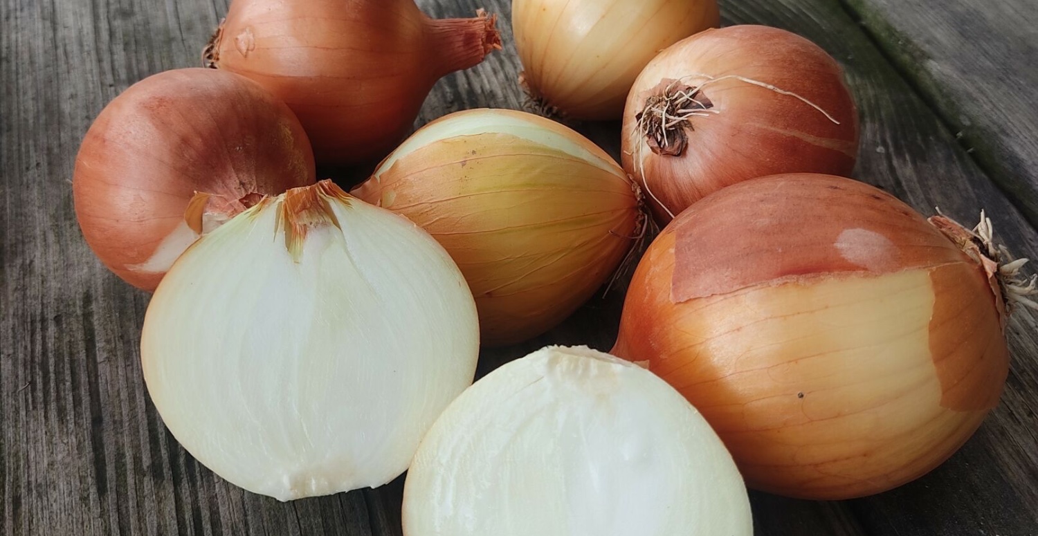 Adana geneli soğan fiyatları düştü! Başka yerlerde 20 TL Adana’da 5 6 TL’ye satılıyor