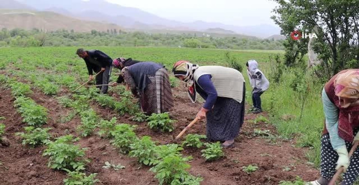Afyon'da korkunç olay: Tarlada yorgun mermi isabet etti