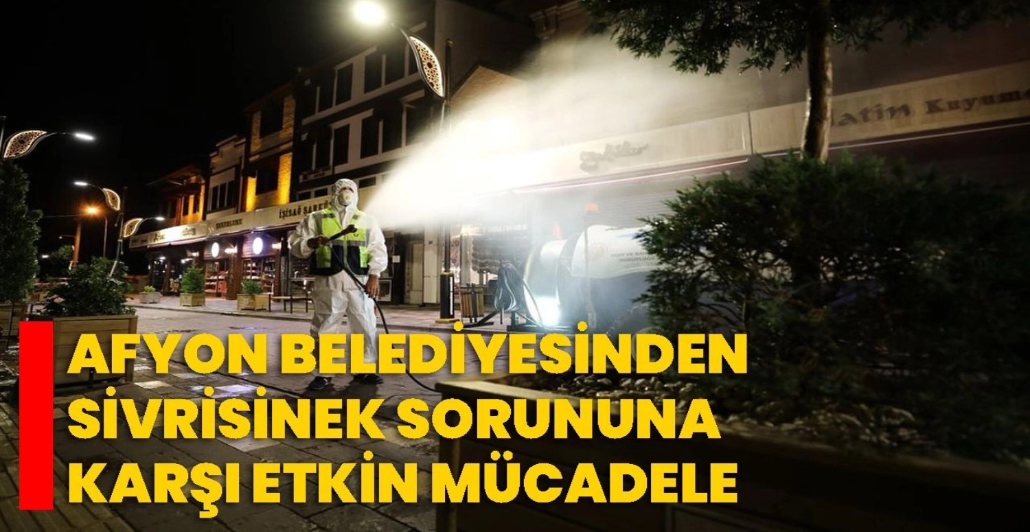 Afyon'un sivrisinek çilesi bitiyor: Belediye harekete geçti
