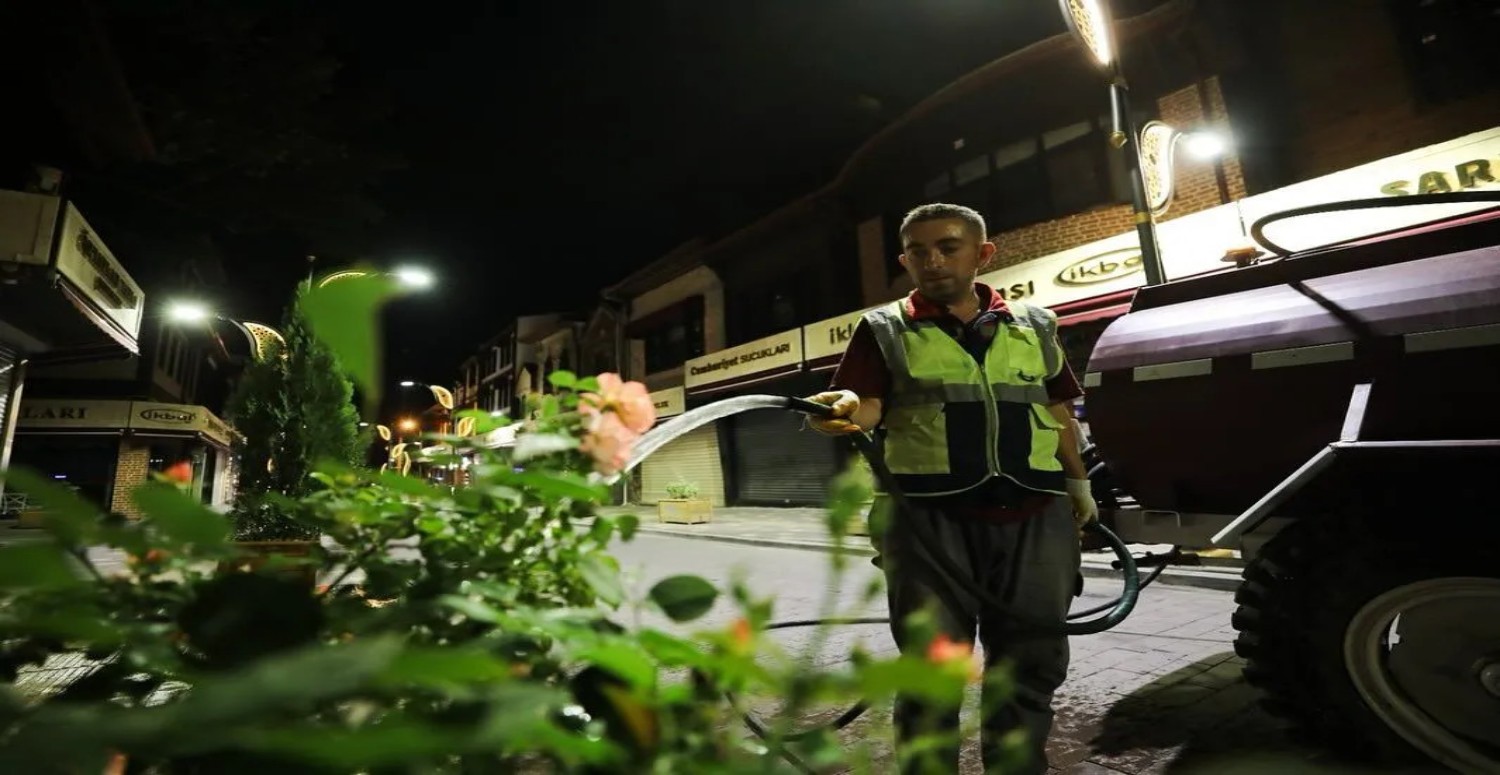Afyon'un sivrisinek çilesi bitiyor: Belediye harekete geçti