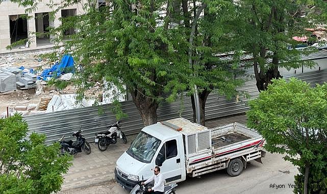 Asırlık Ağaçları Yok Eden Belediye Başkanı, Saklanan Katliamın Arkasındaki İsim Çıktı!