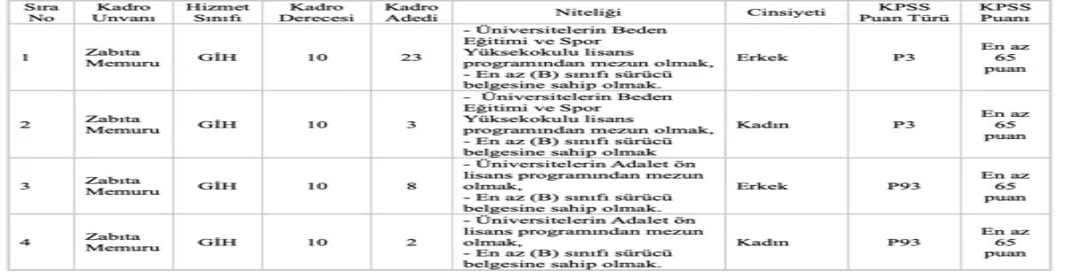 dizi