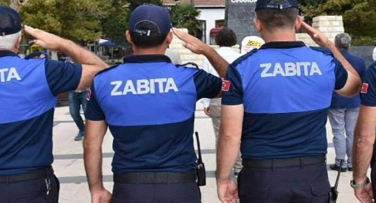 dizi