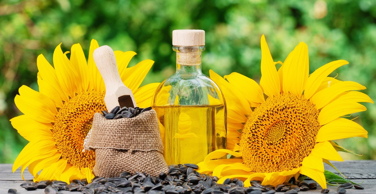 5 litre Ayçiçek yağında stok yaptıran indirim! Tarım Kredi Market fiyatı düşürdükçe düşürdü