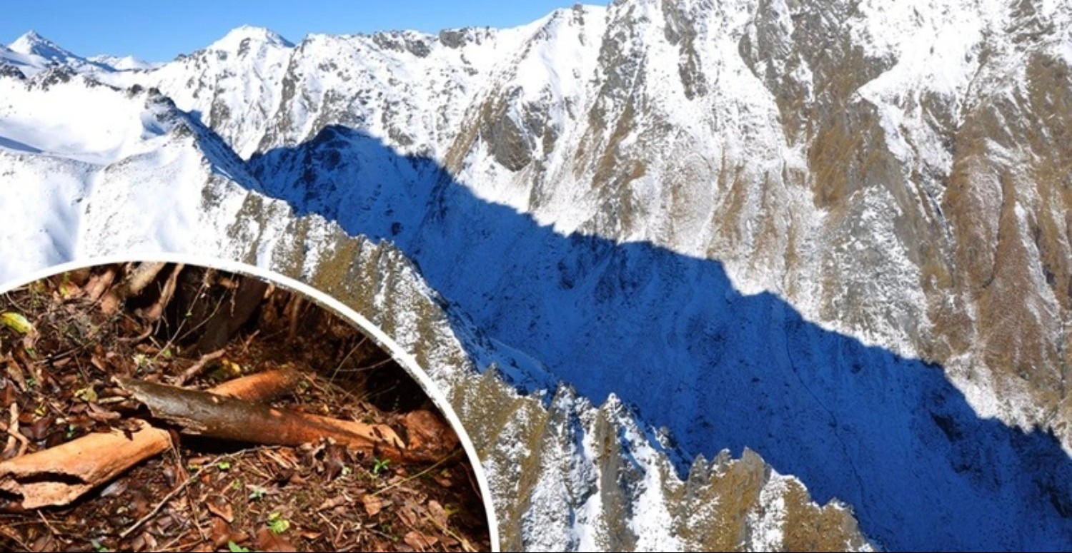 İyiye yorulacak gibi değil resmen felaket! Dünya'ya korkunç haber geldi... Hayvanlar resmen çekilmeye başladı