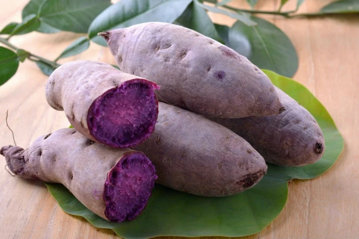 Mor Patatesin Faydaları