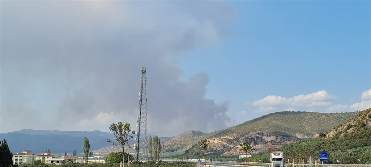 Bursa'nın İznik ilçesinde çıkan orman yangınının söndürülmesi için çalışma...