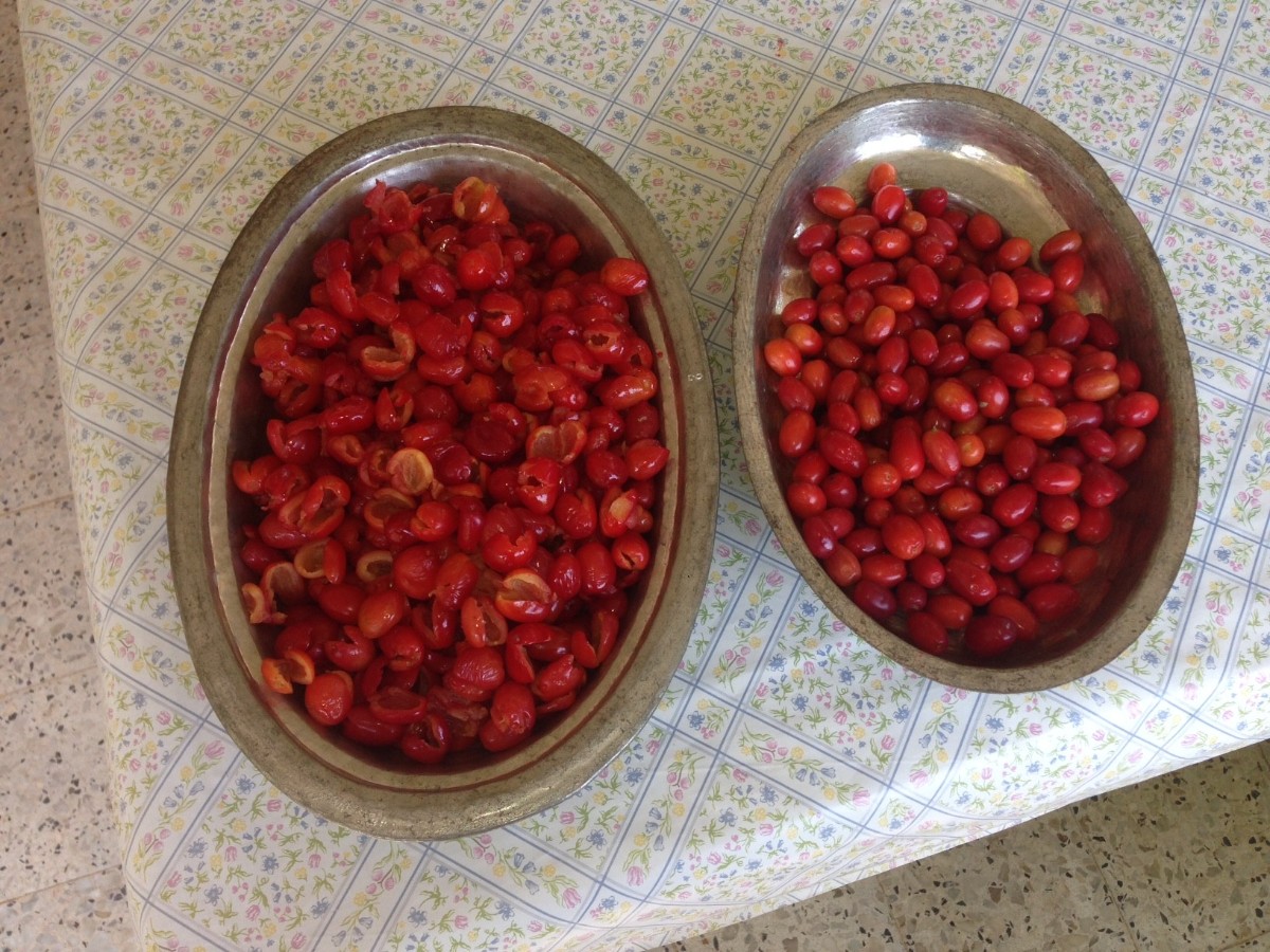 kızılcık