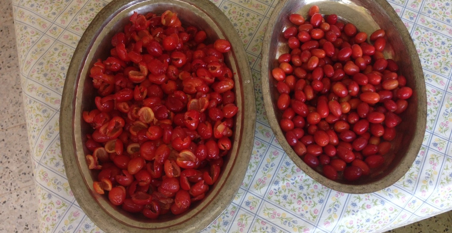 Vücudu C vitaminine doyuruyor! Günde 1 avuç yemek idrar yolu hastalıklarını durduruyor!