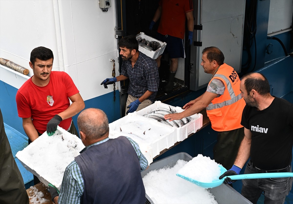 Av yasağının 1 Eylül'de kalkmasının ardından "Vira bismillah" diyerek denize açılan Doğu...
